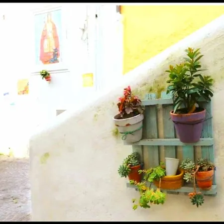 Forio Green House Ischia