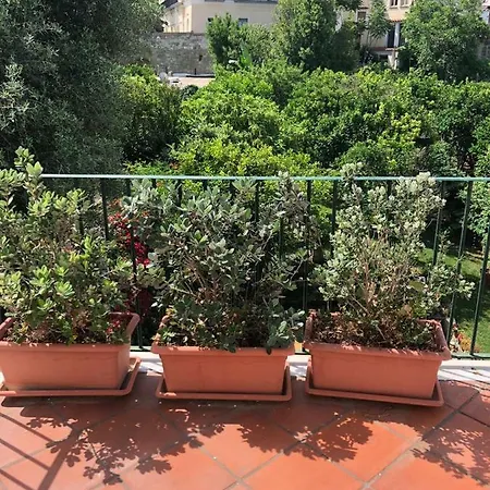 Forio Green House Apartment Ischia